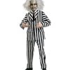 Rubie's Beetlejuice Collector's Edition Costume For Adults - Warner Bros Beetlejuice