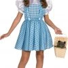 Rubie's Dorothy Costume For Kids - Warner Bros The Wizard Of Oz