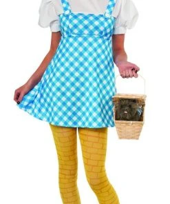 Rubie's Dorothy Costume For Teens - Warner Bros The Wizard Of Oz