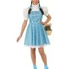 Rubie's Dorothy Deluxe Costume For Teens And Adults - Warner Bros The Wizard Of Oz