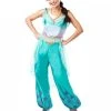 Rubie's Jasmine Deluxe Costume For Adults - Disney Aladdin