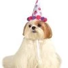 Rubie's Paw Print Birthday Girl Pet Hat