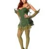 Rubie's Poison Ivy Costume For Adults - Warner Bros DC Comics 2 Rubie's Poison Ivy Costume For Adults - Warner Bros DC Comics