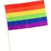 Rubie's Pride Rainbow Flag