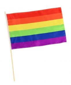 Rubie's Pride Rainbow Flag