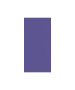 Amscan Purple Paper Favor Bags