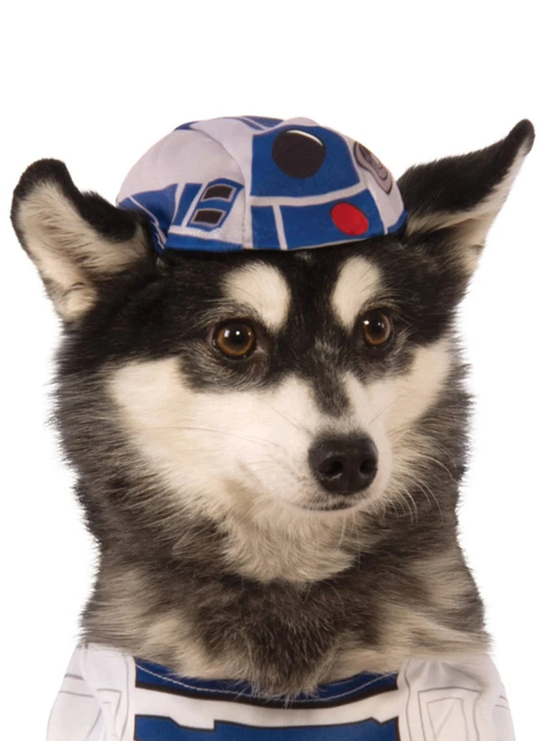 Rubie's R2-D2 Pet Costume - Disney Star Wars Pets 4 Rubie's R2-D2 Pet Costume - Disney Star Wars Pets