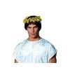 Costume Culture By Franco Llc Roman Wreath Headpiece For Adults 1 Costume Culture By Franco Llc Roman Wreath Headpiece For Adults