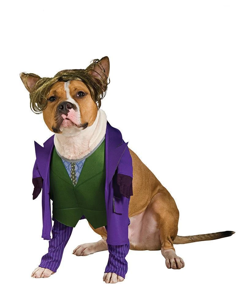 Rubie's The Joker Pet Costume - Warner Bros DC Comics Pets 3 Rubie's The Joker Pet Costume - Warner Bros DC Comics Pets