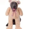Rubie's Walking Teddy Bear Big Dogs Pet Costume