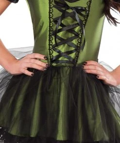 Rubie's Wicked Witch Of The West Costume For Adults - Warner Bros The Wizard Of Oz